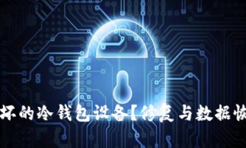 如何处理损坏的冷钱包设备？修复与数据恢复全面指南