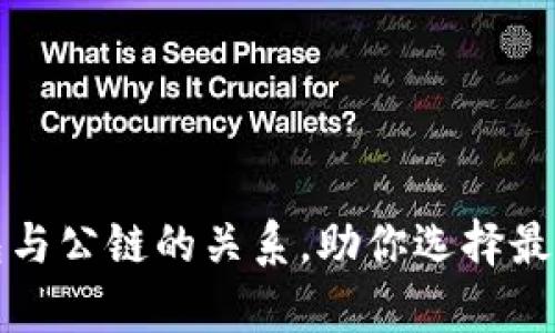 全面解析区块链钱包与公链的关系，助你选择最佳数字资产存储方案