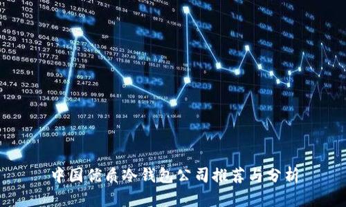 中国优质冷钱包公司推荐与分析