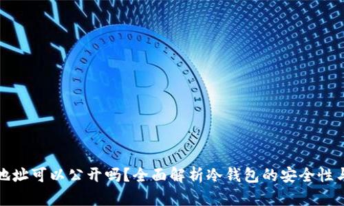 冷钱包地址可以公开吗？全面解析冷钱包的安全性与隐私性