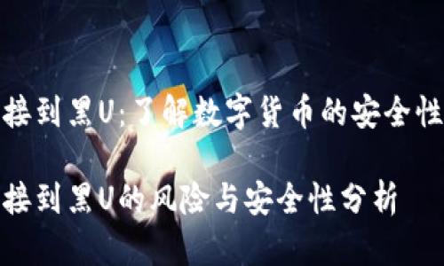 冷钱包接到黑U：了解数字货币的安全性与风险

冷钱包接到黑U的风险与安全性分析