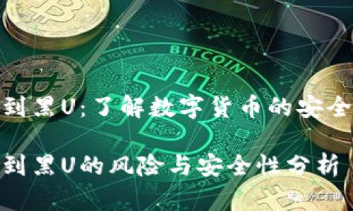 冷钱包接到黑U：了解数字货币的安全性与风险

冷钱包接到黑U的风险与安全性分析