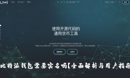 比特派钱包需要实名吗？全面解析与用户指南