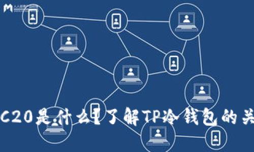 TRC20是什么？了解TP冷钱包的关系