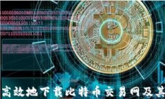 如何安全高效地下载比特
