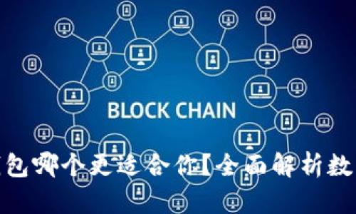 数字冷钱包与热钱包哪个更适合你？全面解析数字货币存储安全性