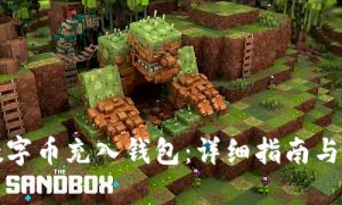 如何将数字币充入钱包：详细指南与实用技巧