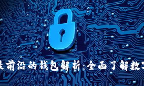 区块链技术领域最前沿的钱包解析：全面了解数字资产安全与存储