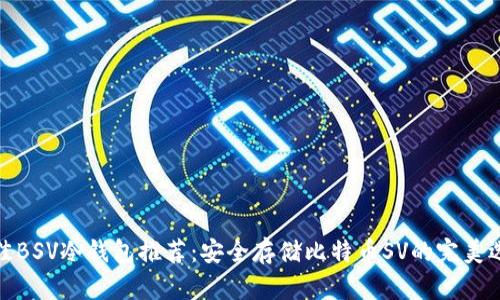 最佳BSV冷钱包推荐：安全存储比特币SV的完美选择