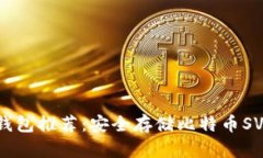 最佳BSV冷钱包推荐：安全