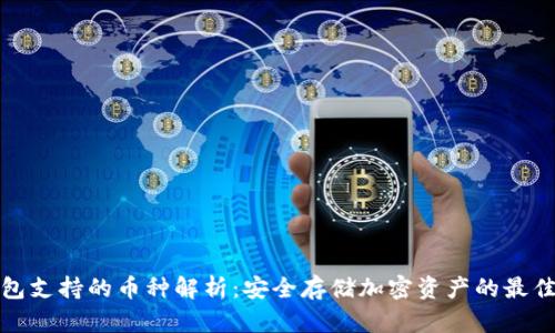 冷钱包支持的币种解析：安全存储加密资产的最佳选择