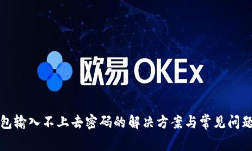 冷钱包输入不上去密码的解决方案与常见问题分析
