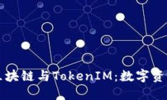 深入了解区块链与TokenIM：数字资产的新未来