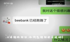 U币转账错误：冷钱包转错