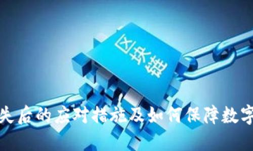 冷钱包丢失后的应对措施及如何保障数字资产安全