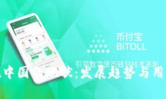 Pi币在中国的现状：发展趋