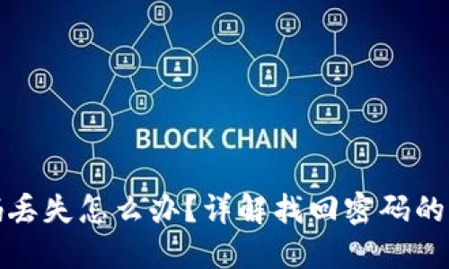 冷钱包密码丢失怎么办？详解找回密码的方法与技巧