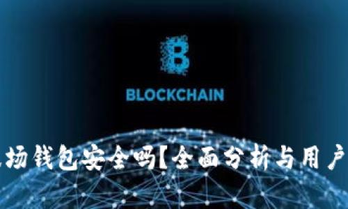 TP波场钱包安全吗？全面分析与用户指南